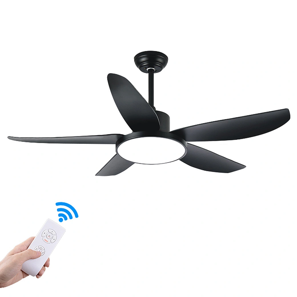 Why choose fan lights